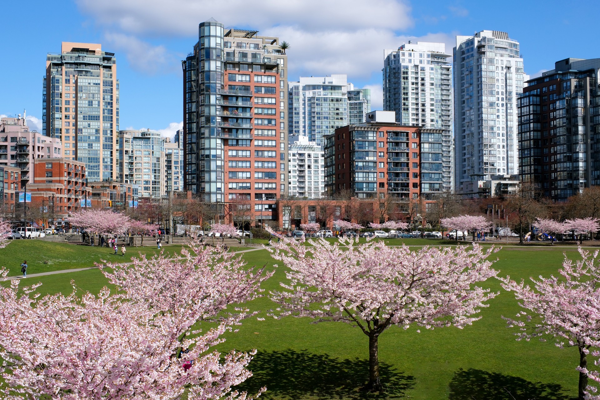 David Lam Park Yaletown beautiful park in vancouver high skyscrapers people walking in spring pacific ocean jetty cyclists sun clear sky blossoming cherry clear sunny day seagulls fly rest weekend